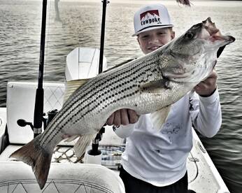 Nasty boat, no fish.