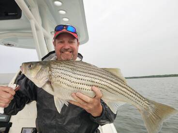 Nasty boat, no fish.