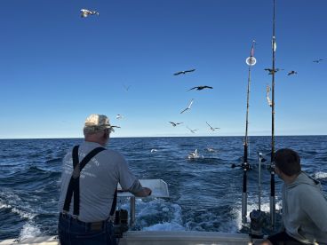 The Captain Made the Day!