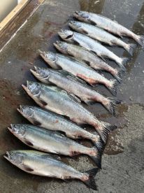 Captain Andrew was awesome