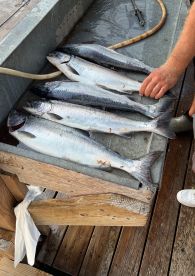 Mike & Cody were great 