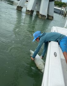 First Tarpon