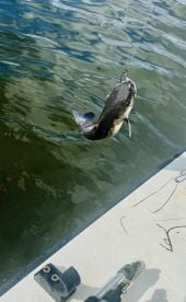 Unforgettable Fishing Trip 🎣