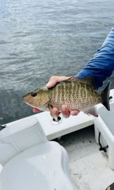 Unforgettable Fishing Trip 🎣