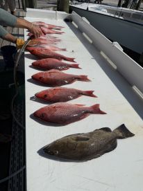 5 stars and then some!!! 