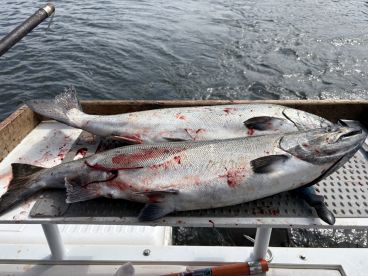 Fishing trip with Todd
