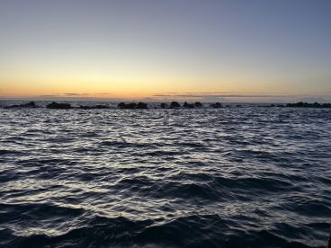 Unparalleled experience 