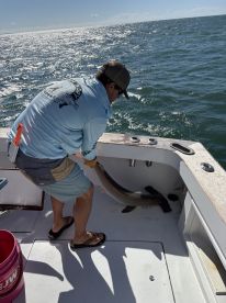 Great trip - will book again