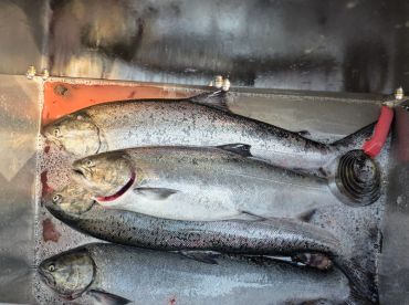 Absolutely amazing experience! 