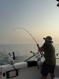 We had an amazing day trip and caught many fish