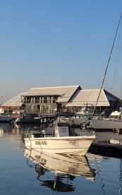 Half day fishing trip with Hooked Again charters