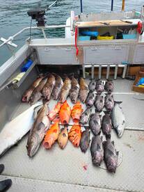 Wouldn't Reccomend Them\n- skim catch