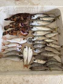 Great half day shared trip (AM)