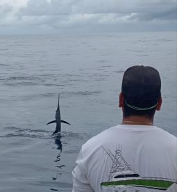 Fantastic fishing trip with a great crew. Excellent service and an unforgettable experience. Definitely returning!