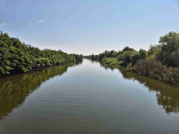 Determine the details and get confirmation