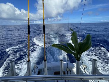 Great Charter, Great Crew