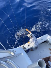 Great Charter, Great Crew