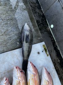 Family trip\/Birthday gift for 13 year old Son