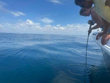 Slow but gilled the cooler