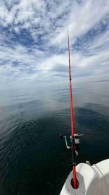 Captain and Crew \u2b50\u2b50\u2b50\u2b50\u2b50