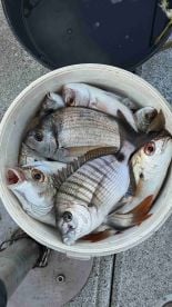 Captain and Crew \u2b50\u2b50\u2b50\u2b50\u2b50