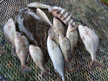 September fishing trip