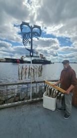 Easy going and knowledgeable