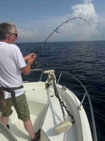 greay day out plenty of action 