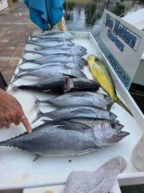 Amazing fishing trip