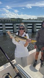 fun trip weather permitted