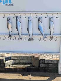 Perfect Day on the Water