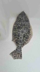 Awesome trip! 100% recommend \ud83d\udc4c 