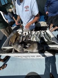 Caught plenty, made it easy