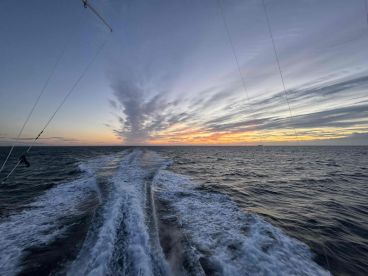 Slow Bite, Stellar Service   