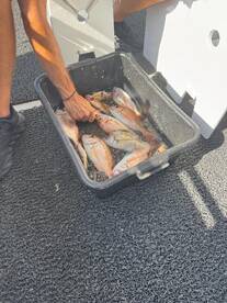 Amazing Crew, Great Catch, and Delicious Food!