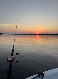 Great Trip with the kids