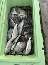 Had a great trip with Captain Andy