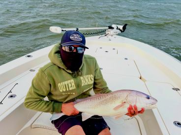 Great Red Drum Bite!