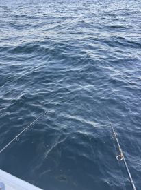 Good captain, great boat, fun trip