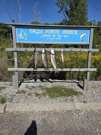 4 fish on board including a 17 pound lake trout