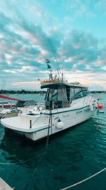 A Liftime Adventure 🎣