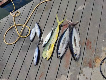 Great day on the water