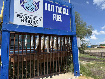 Manny was the MASTER!!!