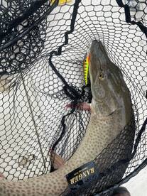 Late Season Musky with Captain Kurt and Captain Matt