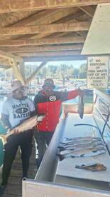 wonderful day out with captain Marcus