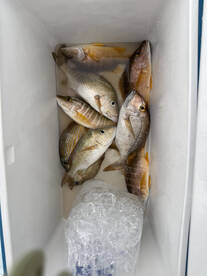 September fishing trip