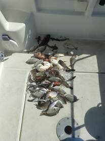 September fishing trip