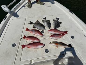 Great time fishing in Fort Morgan!