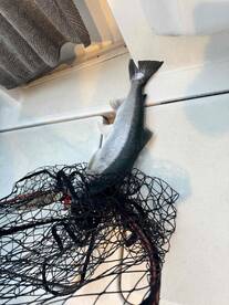 Got the Salmon I was determined to get! 