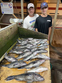 Sea bass and Flounder trip 